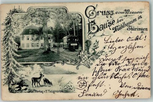 Mühlhausen 1900 Gruss vom Weissen Hause Straßenbahn 2 Wild Eichhörnchen