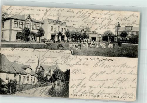 Kaltenkirchen 1905 Rinderweide Dorfstraße Foto AK