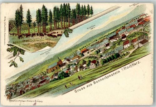Benneckenstein 1900 Am Stollborn Wurmberg Brocken Bahnpost Nordhausen-Wernigerode