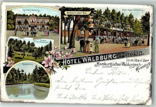 Ahrensburg 1900 Lithographie Hotel Waldburg Logierhaus Gartenwirtschaft Karpfenteich Sammlung Lachmund