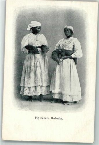 Barbados Pig Sellers Verkäufer Schweine