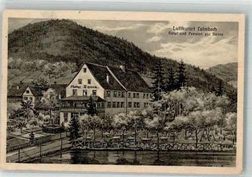 Calmbach Hotel-Pension zur Sonne