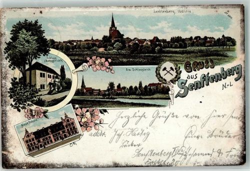 Senftenberg Süd 1906 Schloß Schloßteich Neue Schule Stadtwappen