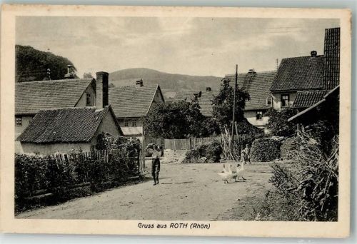 Roth Dorfstraße Gänse