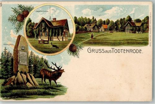 Altenbrak Lithographie Todtenrode Jagdschloss Herzogstein Hirsch
