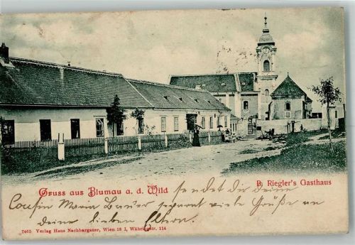 3762 Blumau an der Wild 1904 - Gasthaus Riegler Kirche