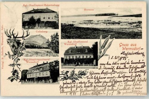 Wermsdorf 1905 Kgl. Oberförsterei Horstsee Collmberg