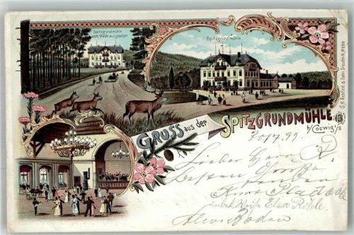 Coswig 1899 Gasthaus Etablissement Spitzgrundmühle Ballsaal Hirsch Hirschkühe