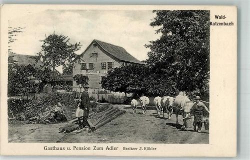 Waldkatzenbach Gasthaus zum Adler Rinderauftrieb Bauer