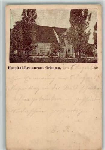 Grimma Vorläufer Druck um 1880 - 1889 Krankenhaus-Gasthaus