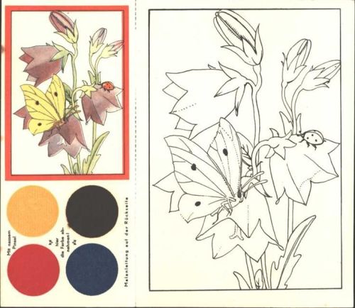 AK zum Ausmahlen ; Schmetterling, Marienkäfer und Blumen