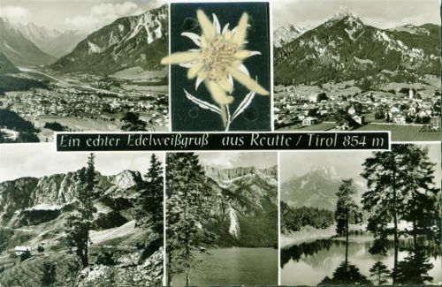 Reutte Applikation echtes getrocknetes gepresstes Edelweiß unter Schutzfolie