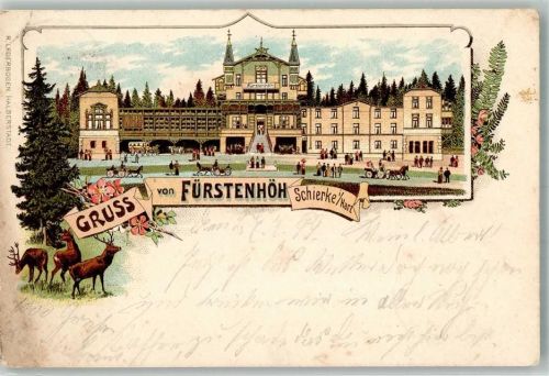 Schierke 1899 Lithographie Wildlichtung Gasthaus Fürstenhöh