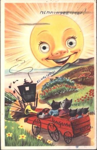 Sonne mit beweglichen Augen aus Plastik, Katzenfamilie im Auto