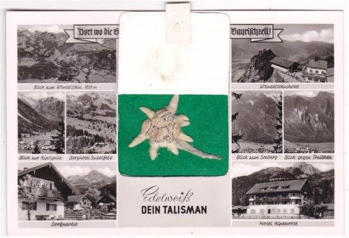 Bayrischzell gepresstes Edelweiss Wendelsteinhotel Hotel Alpenrose
