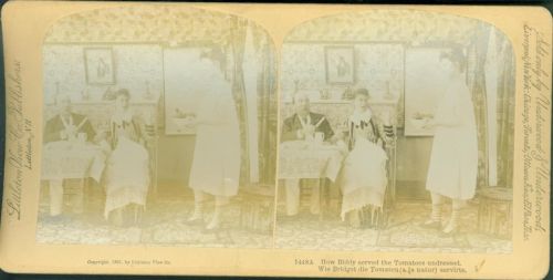 1891 Nr 1448 A How Biddy served the Tomatoes undressed CDV