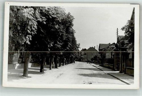 Herbolzheim Dorfstrasse Kastanienbäume Ort handschriftlich