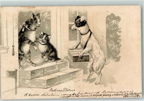 1906 Hund mit einem Bauchladen AK
