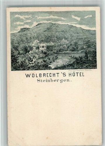 Steinbergen Vorläufer Druck 1880 - 1889 Hotel Wolbrecht Lithographie