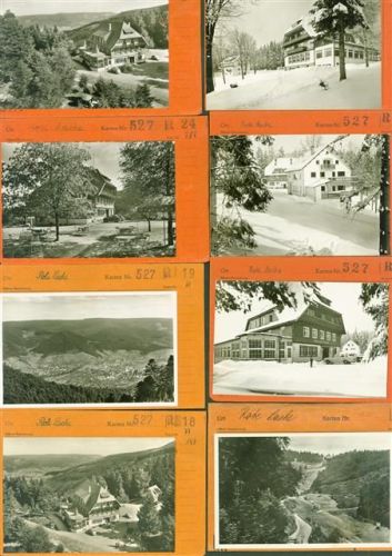 76596 W7564 Bermersbach , Murgtal Lot mit 28 AK Hotel Rote Lache Musterkarten Original aus Metzarchiv Bestellvorgänge und Auflagenzahlen