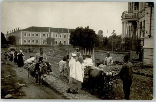 Prilep Privatfoto AK Ochsenkarren Lastenesel Ort handschriftlich