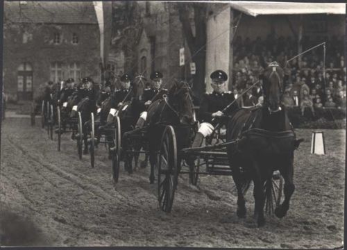 48231 W4410 Warendorf - Hengstparade Landgestüt Warendorf