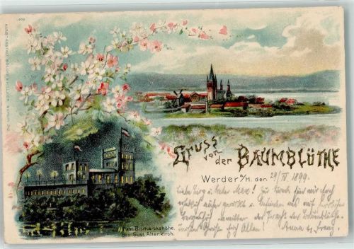 Werder 1899 Gruss von der Baumblüte Gasthaus Bismarckhöhe Kiche Windmühle Fahne Schwarz-Weiß-Rot Mond Beleuchtung
