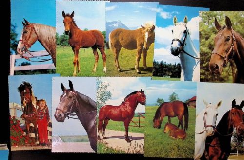 Lot mit 35 AK