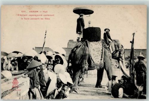 Hue geschmückter Elefant beim Fest