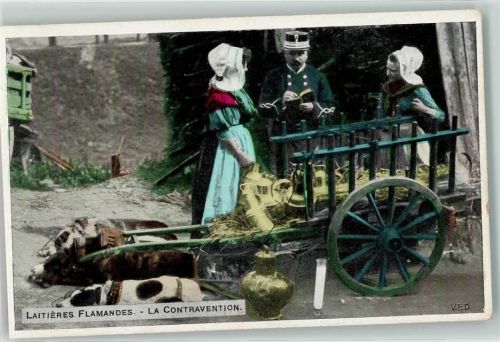 Laitieres Flamandes - La Contravention Polizei V.E.D.