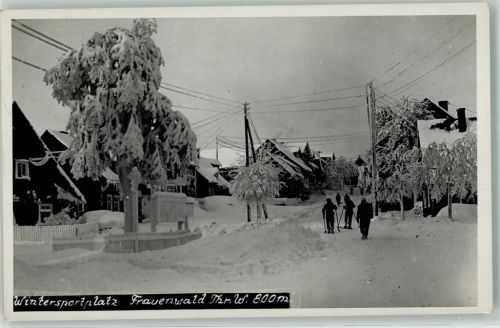 Frauenwald Ski-Langläufer Winter Bahnpoststempel