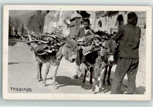 Trebinje Lastenesel Feuerholz