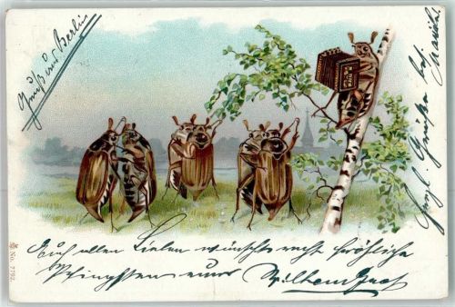 1901 Ziehharmonika vermenschlicht Pfingsten AK