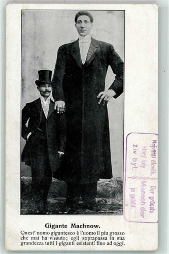 1900 Gigante Machnow AK
