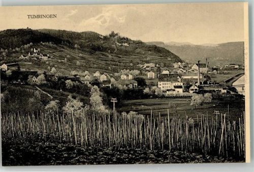 Tumringen mit Schloss Rötteln