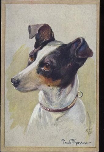 um 1910/20 Jack Russel Terrier, Wohlgemuth & Liessner Nr. 1196 Rassehunde, Sign. Paul Thomas,Wohlgemuth & Liessner,sign. Paul Thomas