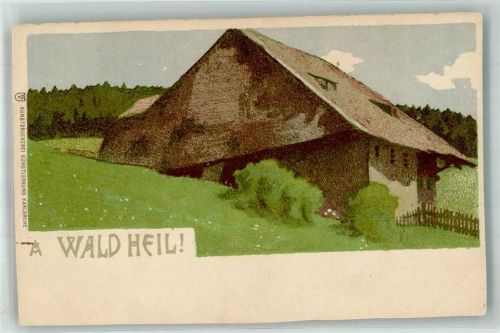 A Wald Heil K.K.K. beschnitten Künstlersteindruck