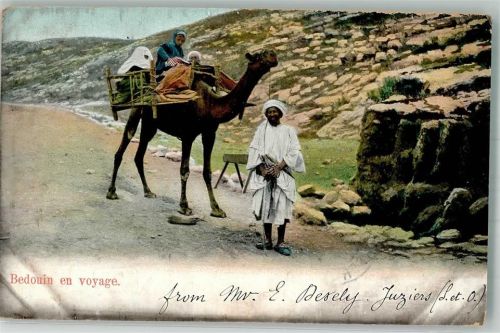 1905 Tracht Kamel Beduine