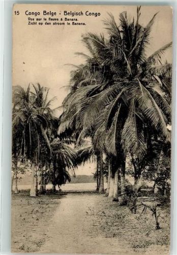 Kinshasa Bananenplantage