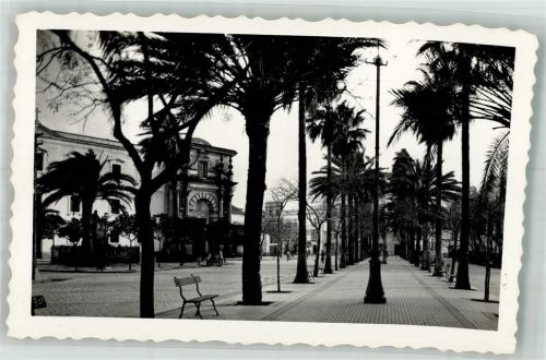 Cadiz Jerez de la Frontera Allée du Marqiis de Maison Domecq