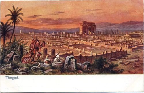 um 1910 Timgad, Ruinen, Kamele, Sign. F. Perlberg, Algerien,sign. F. Perlberg