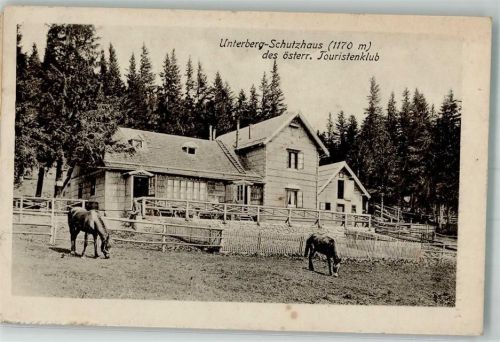 Thal Unterberg-Schutzhaus des österr. Touristenklub Pferde