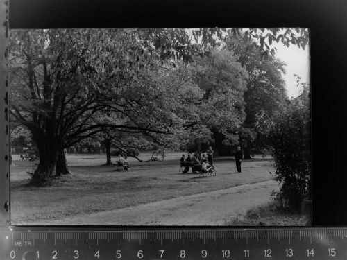 Bad Bentheim Park