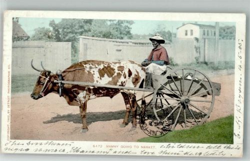 1905 Mammy going to Market Tiergespann in Dallas