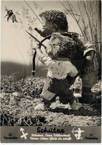 1958 Igel, Mecki und Sohn, Sternzeichen AK, Schütze, No. 512,August Gunkel