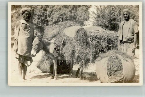 Peshawar Volkstypen Esel Transport von Heu Landwirtschaft