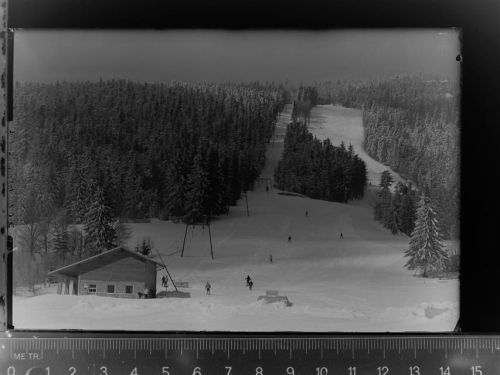 Arnbruck Skilifteck