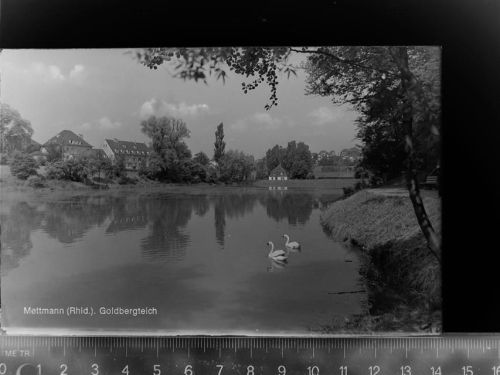 Mettmann Goldbergteich
