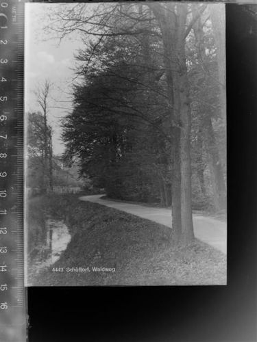 Schüttorf Waldweg