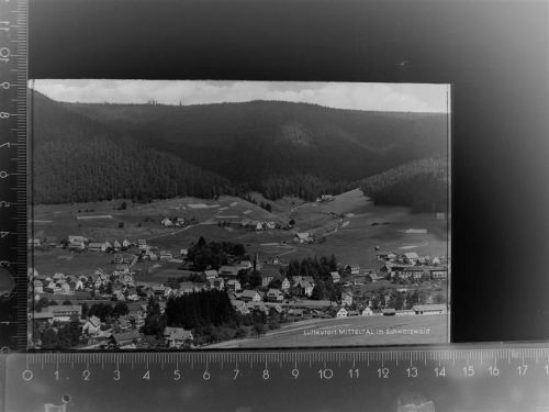 Mitteltal